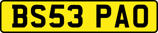 BS53PAO