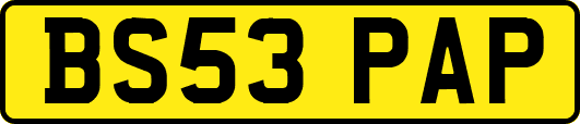 BS53PAP