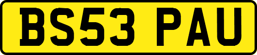 BS53PAU