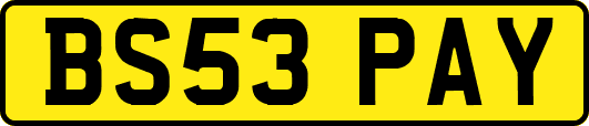 BS53PAY