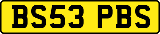 BS53PBS