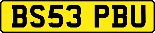 BS53PBU