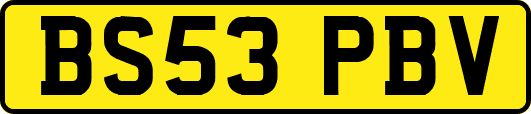 BS53PBV