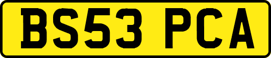 BS53PCA