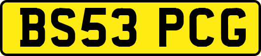 BS53PCG