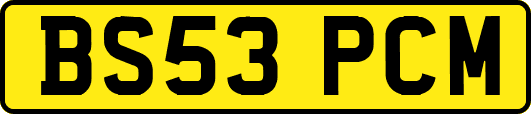 BS53PCM