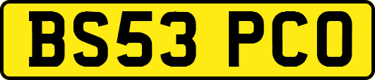 BS53PCO