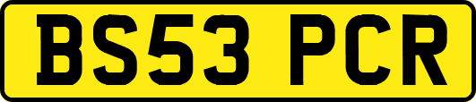 BS53PCR