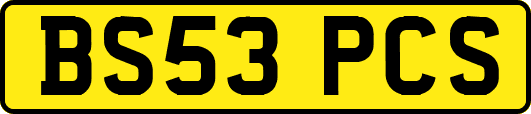 BS53PCS