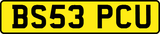 BS53PCU