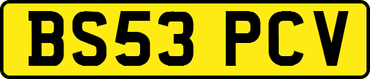 BS53PCV