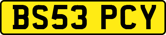 BS53PCY