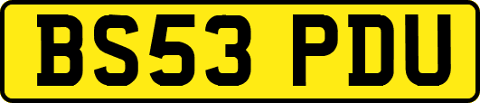 BS53PDU