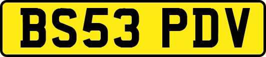 BS53PDV