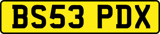 BS53PDX