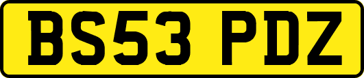 BS53PDZ