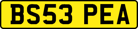 BS53PEA
