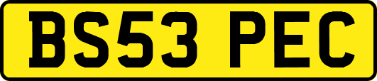 BS53PEC