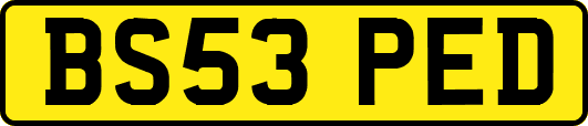 BS53PED