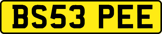 BS53PEE