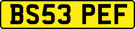 BS53PEF