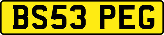 BS53PEG