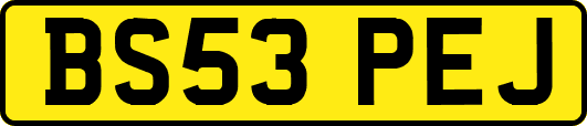 BS53PEJ