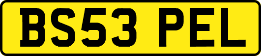 BS53PEL