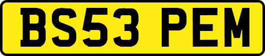 BS53PEM