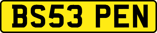 BS53PEN