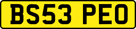 BS53PEO
