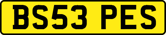 BS53PES