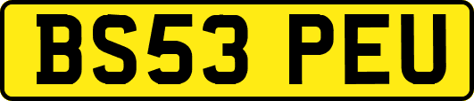 BS53PEU