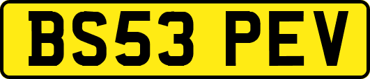 BS53PEV