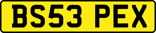 BS53PEX