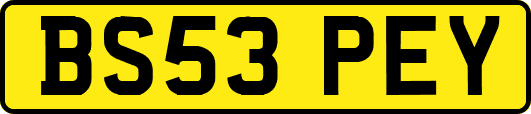 BS53PEY