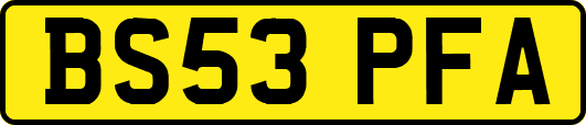 BS53PFA