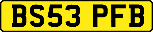 BS53PFB