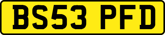 BS53PFD