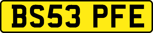 BS53PFE