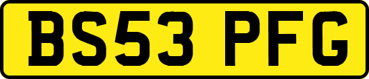 BS53PFG