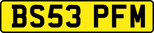 BS53PFM