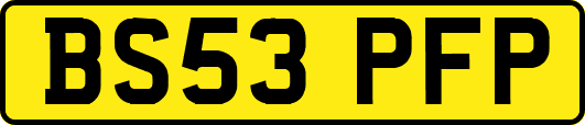 BS53PFP