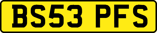 BS53PFS