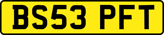 BS53PFT
