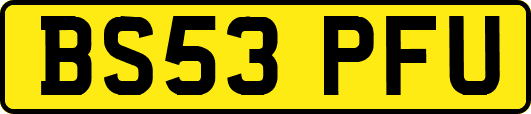 BS53PFU