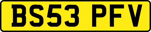 BS53PFV