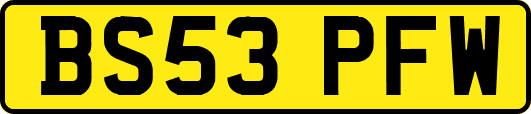 BS53PFW