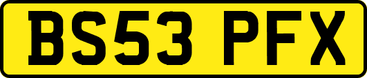 BS53PFX