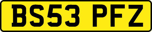 BS53PFZ